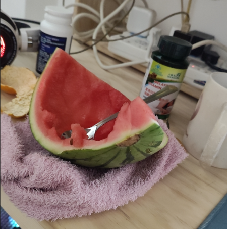 WatermelonDigger's Avatar